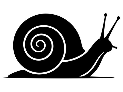 Slithering Garden Snail Vector, Detailed Mollusk with Spiral Shell Graphic