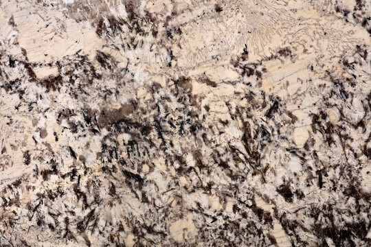 Polished white granite slab texture with black and brown mineral flecks