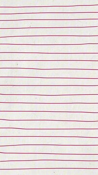 Handdrawn motion notebook pink line