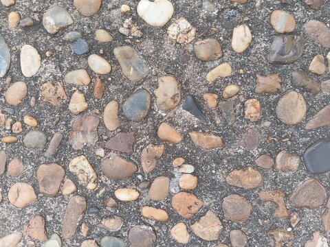 Texture of a washed pebble walkway. Colorful river stones embedded in a concrete floor