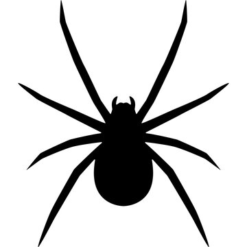 Spider Silhouette Vector