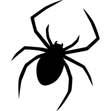 Spider Silhouette Vector
