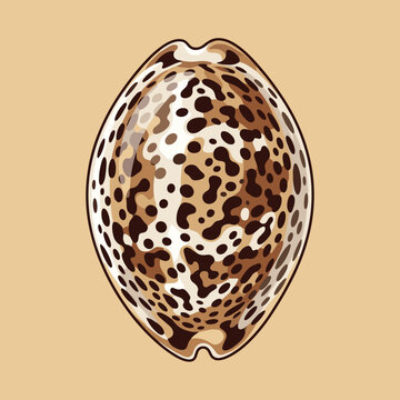 Vector illustration of a tiger cowrie shell Cypraea tigris with dark spotted pattern and glossy finish, isolated on a neutral tan background, marine gastropod mollusk art.