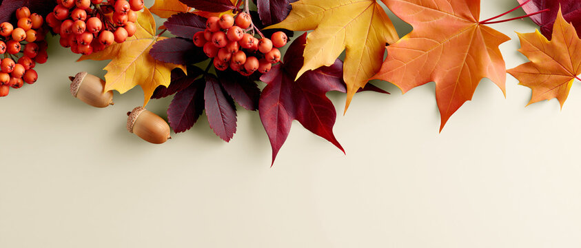Autumn border with colorful maple leaves, rowan berries and acorns on a warm beige background with copy space for seasonal design