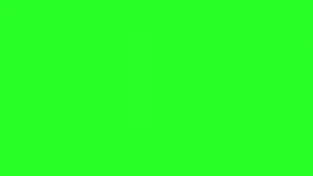 Grey Skull Mascot Vector Illustration Inside a Black Circle on a Green Screen Chroma Key Background for Danger or Halloween Concepts