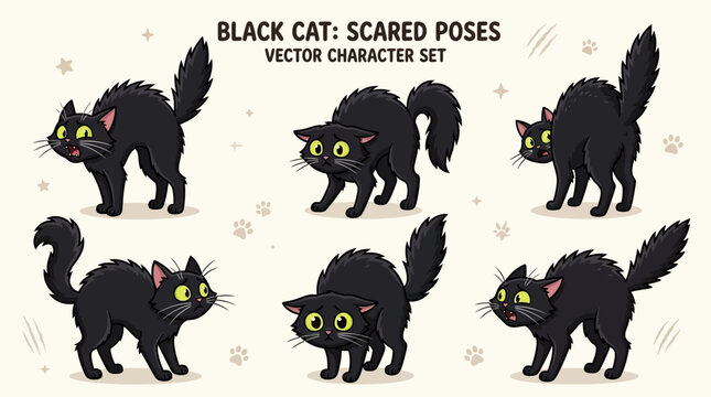 Black cat arching back in scared pose for Halloween or spooky theme