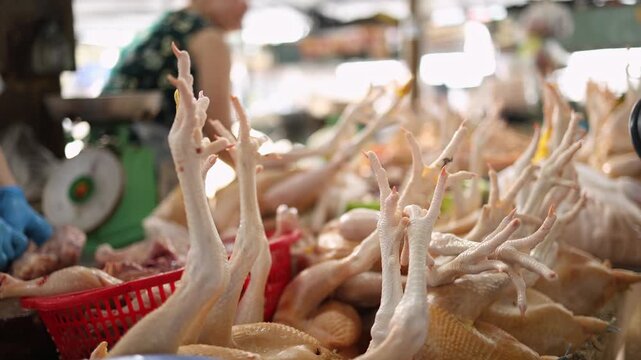 Close-up of fresh raw whole chicken carcasses with feet displayed on a stall at Xom Moi Market in Nha Trang, Vietnam. Commercial food supply, local poultry market and retail trade concept.