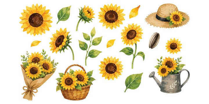 Watercolor sunflowers collection set with basket bouquet straw hat and watering can isolated on white background