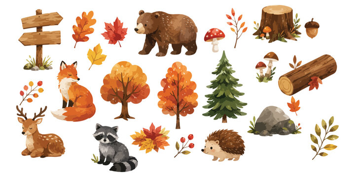 Watercolor autumn woodland animals set with bear fox deer raccoon and hedgehog isolated on white background