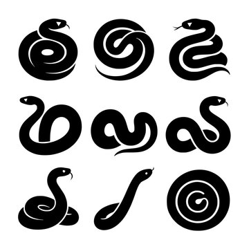 Snake Silhouette Set vector illustration featuring eight snakes in varied coiled, curved, crawling and resting poses. Perfect for wildlife, reptiles, nature, education, tattoos, apparel, posters, stic