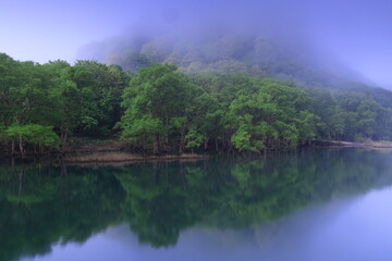 Fototapeta premium 夜明けの静かな湖