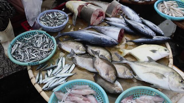 High-angle close-up of fresh raw fish, seafood and small squids in blue plastic baskets for sale on a market stall in Xom Moi Market, Nha Trang, Vietnam. Commercial food supply and retail trade.