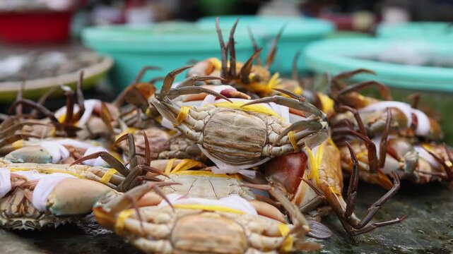 Close-up of fresh live tied crabs for sale displayed at Xom Moi Market in Nha Trang, Vietnam. Local seafood market, commercial food supply, marine product and retail trading concept.
