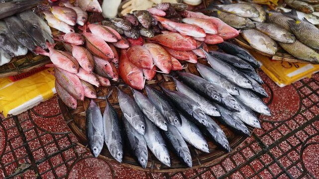 Close-up of fresh raw fish for sale displayed on a wicker tray by a vendor at Xom Moi Market in Nha Trang, Vietnam. Local seafood market, retail shopping, commercial food supply and trade concept.