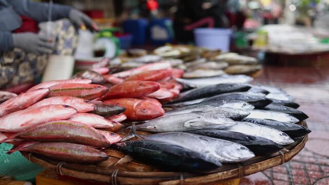 Close-up of fresh raw fish for sale displayed on a wicker tray by a vendor at Xom Moi Market in Nha Trang, Vietnam. Local seafood market, retail shopping, commercial food supply and trade concept.