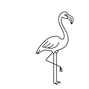 Flamingo outline