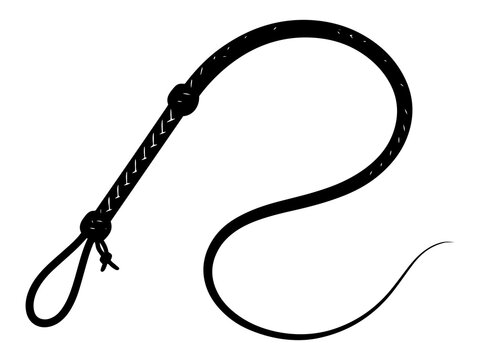Braided Leather Whip Icon