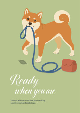 散歩の準備をして待つ柴犬、リード、メッセージポスター／Shiba Inu, Dog Walking, Leash, Typography Poster