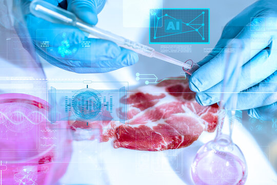 Raw pork steak examined next to a petri dish in a biotech laboratory. Concept of cultivated meat research, cell culture, AI-powered quality control, and traceability for modern food tech
