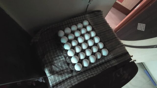 Fresh White Chicken Eggs Rested on a Fabric Mat Inside a Cardboard Alternative Or Plastic Tray Grid Storage Box on Top of a Kitchen Fridge, Concept of Home Food Logistics and Daily Grocery Stocking
