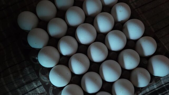 Close Up View of White Eggs Arranged in a Plaid Grid Pattern Inside a Stacking Tray, Symbolizing Rural Abundance and Farm Fresh Dietary Nutrition