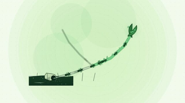 Abstract animated ants pheromone trail fork drawn as green and teal lines and shapes on a bright, clean light background. Seamless looping 4K motion graphics video with free space for text, ideal for 