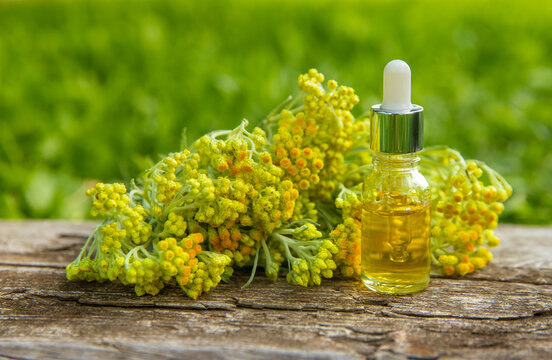 Helichrysum extract in a bottle and capsules. Selective focus.