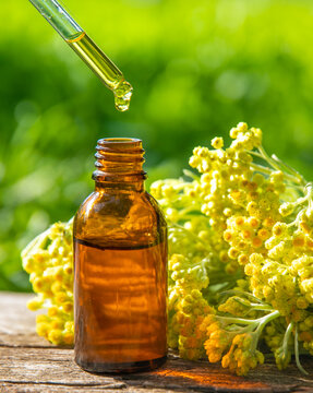 Helichrysum extract in a bottle and capsules. Selective focus.