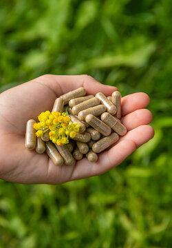 Helichrysum extract in a bottle and capsules. Selective focus.