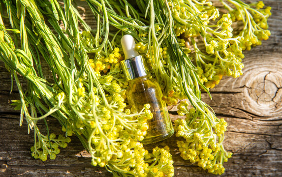 Helichrysum extract in a bottle and capsules. Selective focus.
