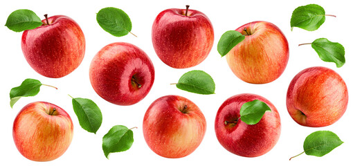 Red apple isolated, full depth of field © grey