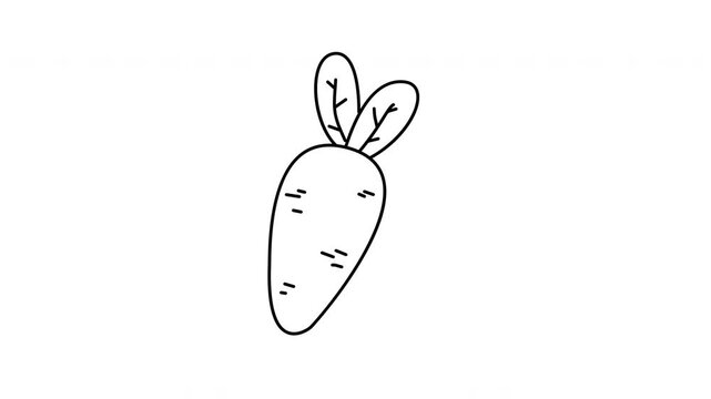 carrot outline vegetable doodle