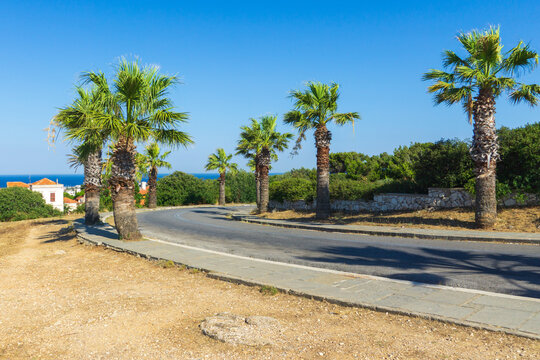 Scenic coastal road lined with palm trees under clear blue sky in Rhodes