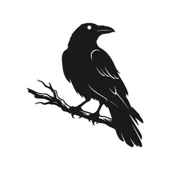 Fototapeta premium Solid vector silhouette of a perched raven crow looking over its shoulder, sharp vector.