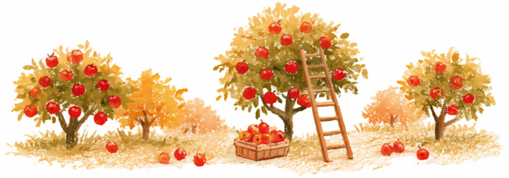 Apple orchard scene depicting the autumn harvest season with vibrant red apples hanging from trees and a ladder next to a basket filled with freshly picked fruit
