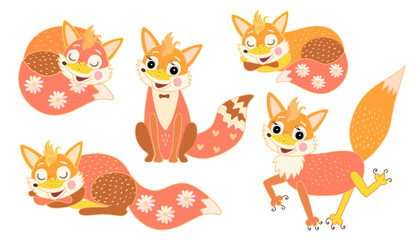 Fototapeta premium Cute set with five foxes in different poses isolated on white background