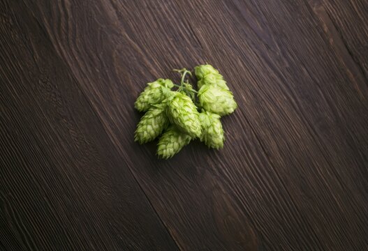 Fresh green hop cones on a dark rustic wooden background for craft beer brewing concept