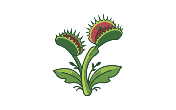 Venus Flytrap Cartoon Vector Illustration