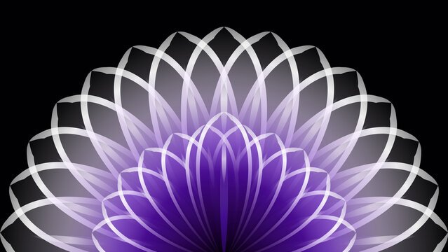 Abstract purple flower shape with geometric lines on a black background