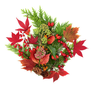 Autumn nature leaf color, red berry and foliage arrangement on white background, Warm seasonal tones, harvest festival symbols. Greeting card.