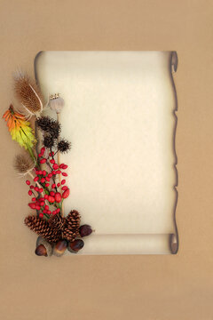 Autumn Fall red berries and flora retro background on old paper scroll on brown paper background. Old fashioned seasonal nature design. Copy space.