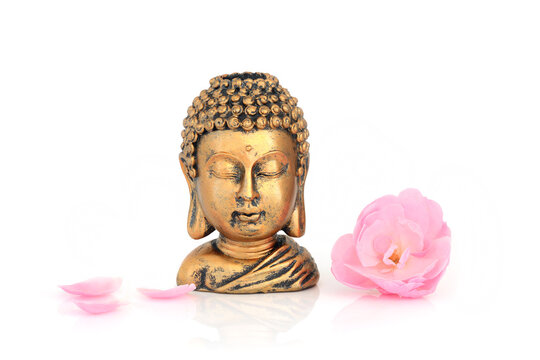 Gold Buddha statue rustic head shoulder view, symbol of peace with pink rose flower, loose petals. Spiritual Buddhist religious object. On white. Not copyrighted. 