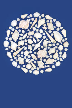 White seashell collection circular design for seaside icon  on navy blue background. Beach art decoration for greeting card, poster, postcard.