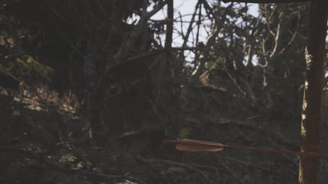 An arrow is embedded in a wooden post surrounded by trees. The scene shows a natural setting with sunlight filtering through the branches.