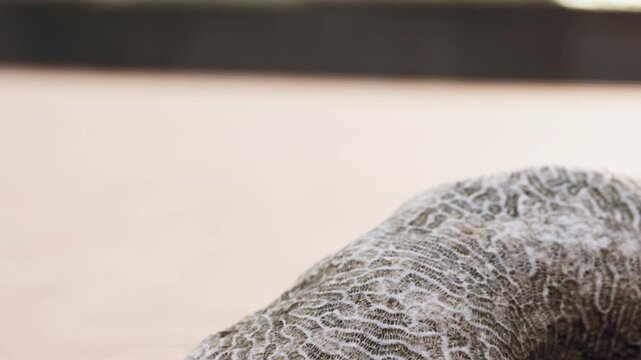 A person is working in a workshop with a textile roll placed on a table. The fabric features a unique texture and pattern. Sunlight shines softly on the scene.
