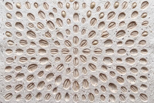 Cowrie Shell Mandala Pattern on Textured Paper Background