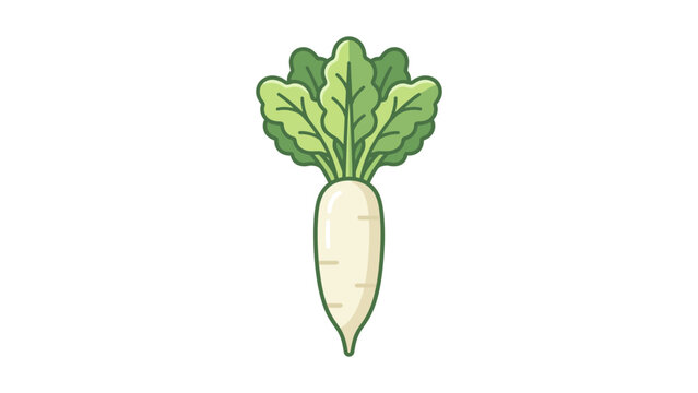 Daikon Radish Vector Illustration