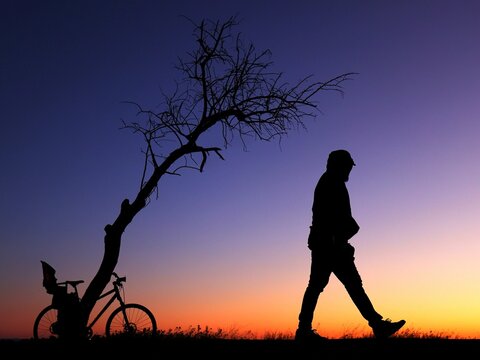 Silhouette d'un homme marchant  seul le soir avec d&eacute;termination dans une ambiance myst&eacute;rieuse et un peu effrayante. Pr&egrave;s de l'homme un arbre et un v&eacute;lo figurent &eacute;galement en silhouette. 