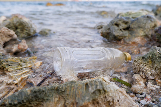 Clear plastic bottle litter discarded on a rocky coastal shore, highlighting marine pollution and environmental damage