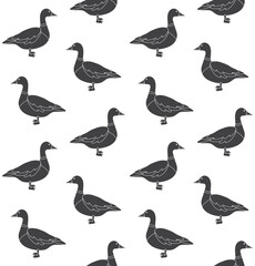 Obraz premium Vector seamless pattern of flat duck isolated on white background